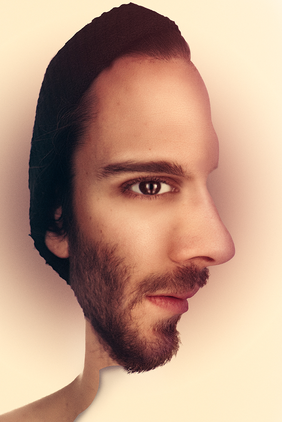 Optical-Illusion-conceptual-portrait